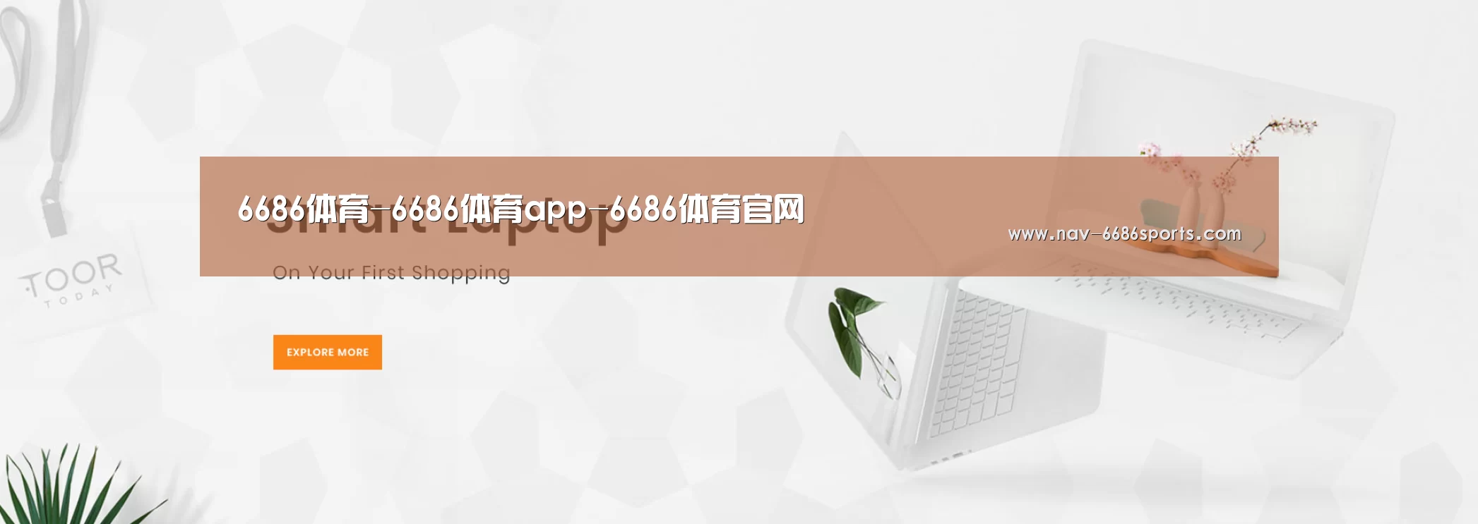 某某网络科技有限公司